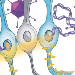 Concept illustration of optogenetics therapy: A drawing of black goggles receiving a beam of light than is then transmitted to an eyeball. from the retina there is a zoom-in of blue and purple cells and purple viruses.