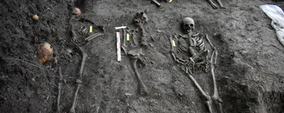 Skeletons exposed during a research excavation in a medieval cemetery in Stavanger, Norway.