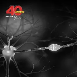 Image of two interacting nerve cells connected with synapse with blue background.