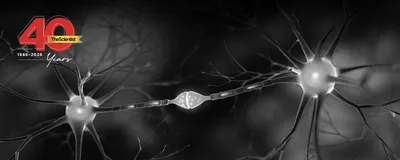 Image of two interacting nerve cells connected with synapse with blue background.