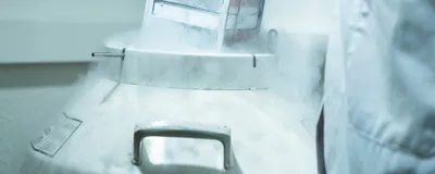 A person wearing a lab coat and cryo-gloves pulling a rack with cells outside a liquid nitrogen cryogenic tank at life sciences laboratory.