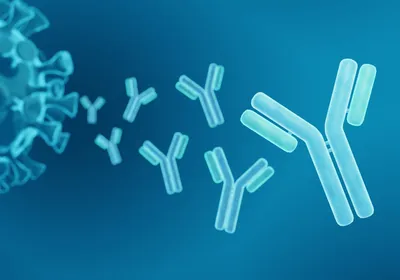 Abstract 3D antibody structures representing complex protein modalities.