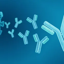 Abstract 3D antibody structures representing complex protein modalities.