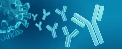 Abstract 3D antibody structures representing complex protein modalities.