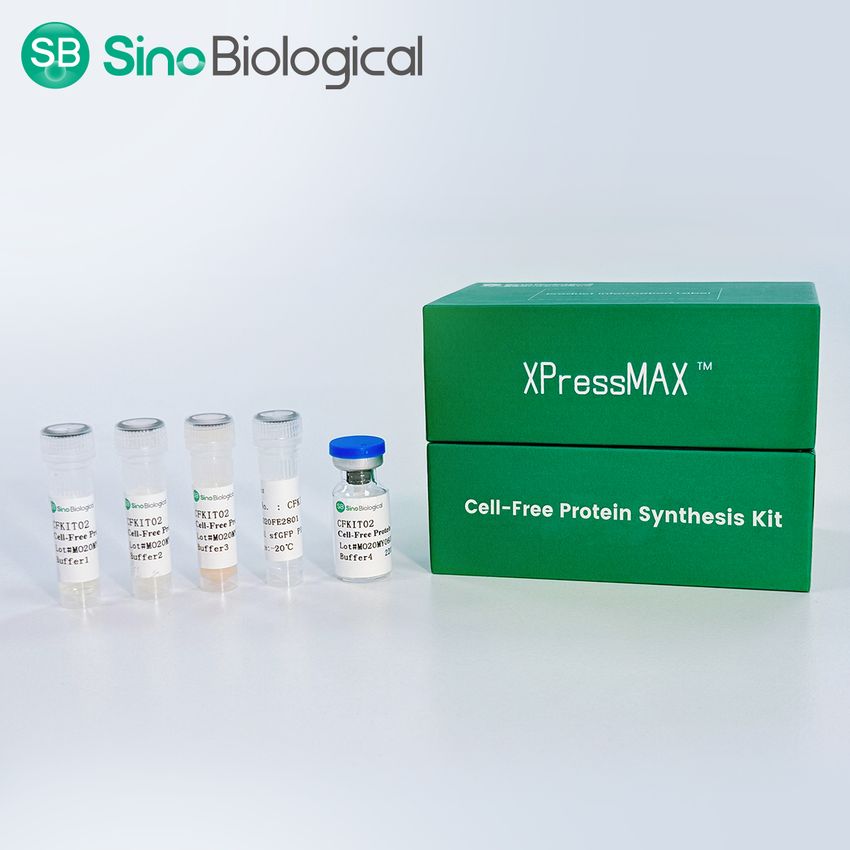 XPressMAX™Cell-Free Protein Synthesis Kit