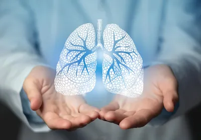 A photo of a doctor’s hands underneath an image of human lungs