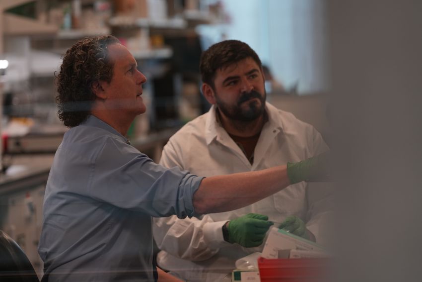 Ed Lien sits in a lab with a colleague. Lien is wearing a blue collared shirt with the sleeves rolled up. Another scientist has short dark hair and facial hair and is wearing a white lab coat. Both are looking at data that is out of frame to the right of the image.