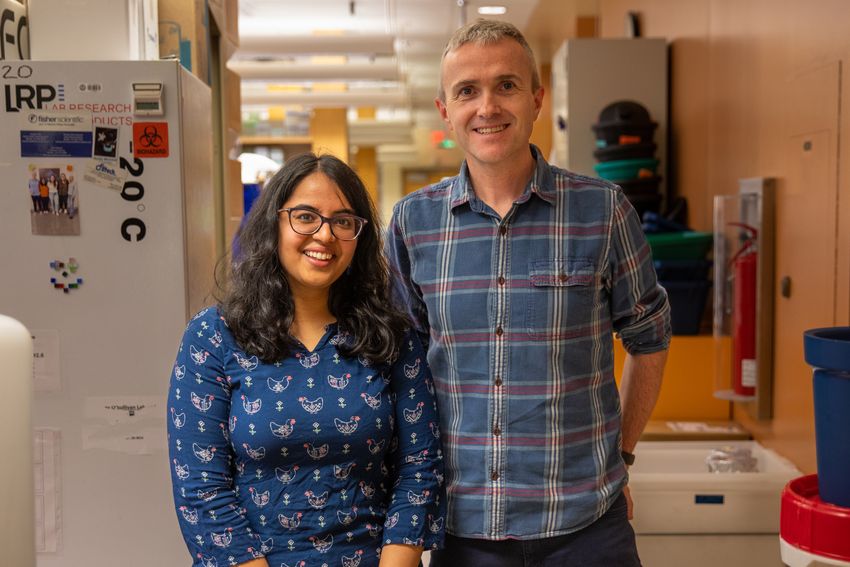 Image of Ragini (left) and Roderick (right). Image of Ragini (left) and Roderick (right).