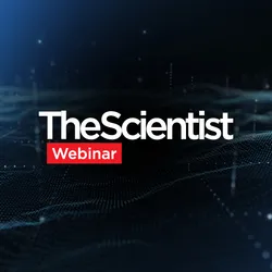 Rethinking Retrosynthesis for Modern Drug Discovery