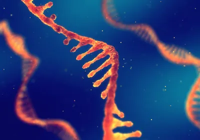 Illustration of mRNA, representing RNA molecules used in mRNA characterization