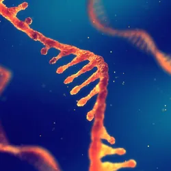 Illustration of mRNA, representing RNA molecules used in mRNA characterization
