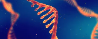 Illustration of mRNA, representing RNA molecules used in mRNA characterization