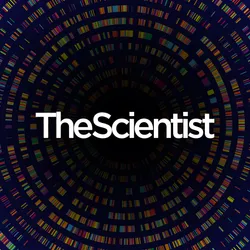 Interpreting CRISPR Screens Through Protein-Level Biology