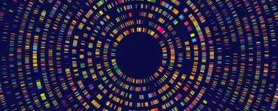 Interpreting CRISPR Screens Through Protein-Level Biology