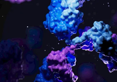 3D antibody structure