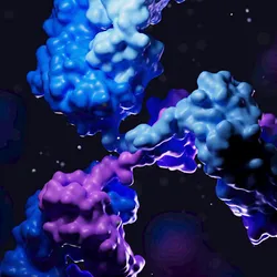 3D antibody structure