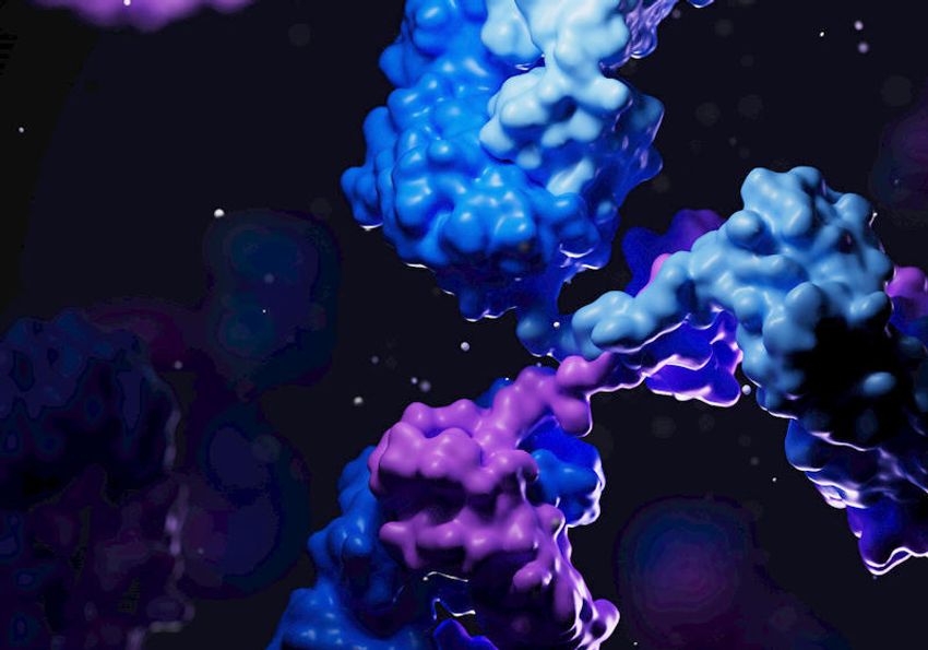 3D antibody structure 3D antibody structure