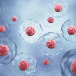 An illustration of cells floating in liquid against a softly illuminated background. 