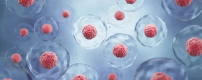 An illustration of cells floating in liquid against a softly illuminated background. 