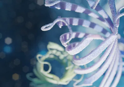 3D molecular model of a transmembrane protein nanodisc structure.