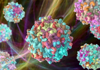 AAV capsid structure 3D illustration showing protein coat assembly, multiple particles against dark background.