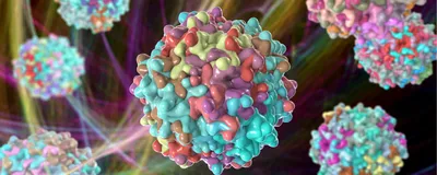 AAV capsid structure 3D illustration showing protein coat assembly, multiple particles against dark background.