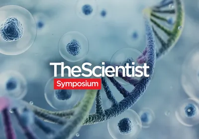 The Translational Potential of Cell and Gene Therapies