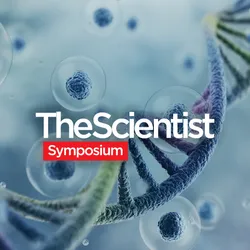 The Translational Potential of Cell and Gene Therapies