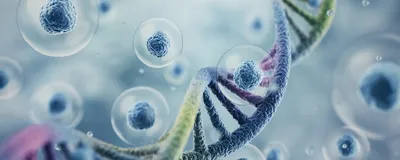 The Translational Potential of Cell and Gene Therapies