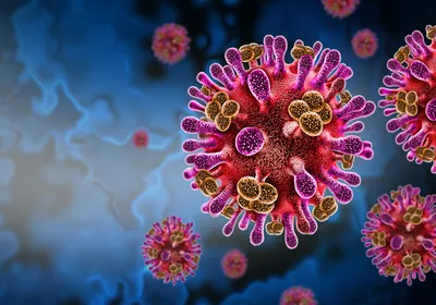 Image of Nipah virus. The virus is pink, yellow, and red against a blue background.