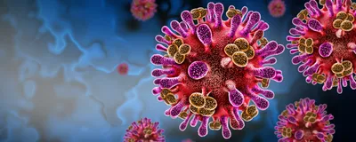 Image of Nipah virus. The virus is pink, yellow, and red against a blue background.