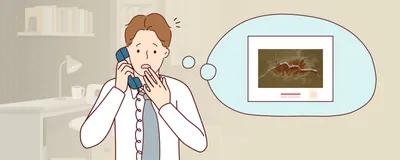 An illustration of David Brayden on a landline phone standing in a home office. He looks shocked and has a white thought bubble above him. Inside of it is an image of a glass presentation slide from the 1980s, which is framed by a white sleeve. The slide shows Brayden’s skin tissue sample stained with a dye to make the squiggly sweat glands appear red. A crack is running across the slide. 