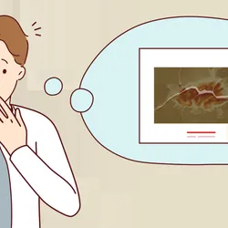 An illustration of David Brayden on a landline phone standing in a home office. He looks shocked and has a white thought bubble above him. Inside of it is an image of a glass presentation slide from the 1980s, which is framed by a white sleeve. The slide shows Brayden’s skin tissue sample stained with a dye to make the squiggly sweat glands appear red. A crack is running across the slide. 