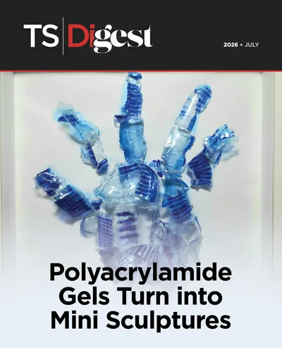 Polyacrylamide Gels Turn into Mini Sculptures