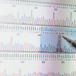 DNA Sequencing results.