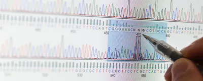 DNA Sequencing results