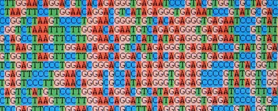 Data of nucleotide bases obtained using DNA sequencing technologies.