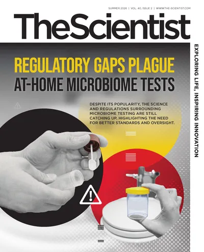 Regulatory Gaps Plague At-Home Microbiome Tests