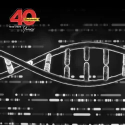 Conceptual, graylscale image of a DNA sequence depicted by light and dark grey and white dashes representing the sequence against a dark background. A DNA helix runs across the image over the sequence. 