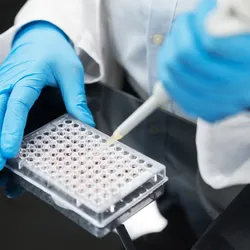 Scientist pipetting liquid into a multiwell plate for a laboratory assay.