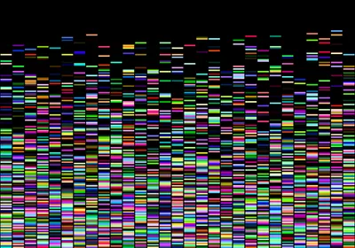 Microbial DNA sequence map