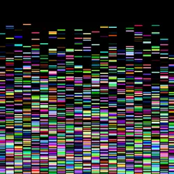 Microbial DNA sequence map