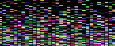 Microbial DNA sequence map