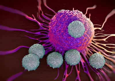 T-cell attacking cancer cell illustration