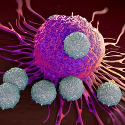 T-cell attacking cancer cell illustration