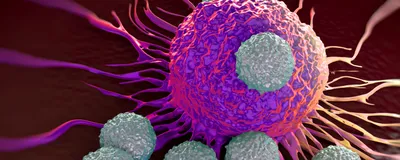 T-cell attacking cancer cell illustration