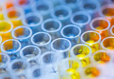 Close-up of multiwell plate wells holding clear and yellow biologic samples for endotoxin testing 
