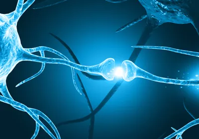 Two neurons communicating with electrical signals