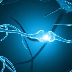 Two neurons communicating with electrical signals