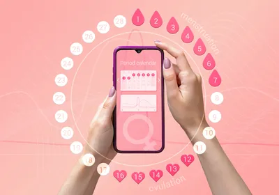 A menstrual cycle tracking mobile app shows a calendar on a smartphone screen.